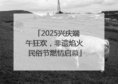 2025兴庆端午狂欢，非遗焰火民俗节燃情启幕